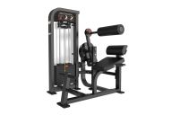Скручивания/разгибание спины Protrain CP136