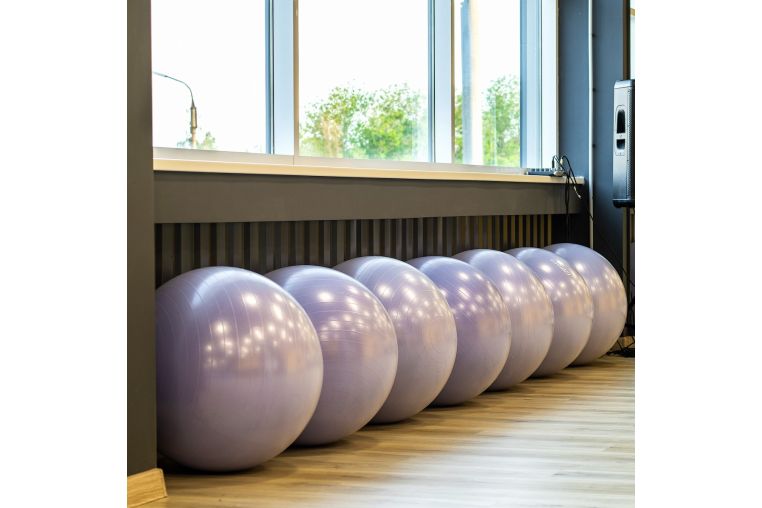 Гимнастический мяч антивзрыв D85 см PROFI-FIT фото 2