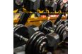 Гантельный ряд BASIC (шаг 2,5 кг, 10 пар) PROFI-FIT 27,5-50 кг РАСПРОДАЖА фото 1
