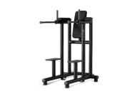 Technogym Leg Raise Dip