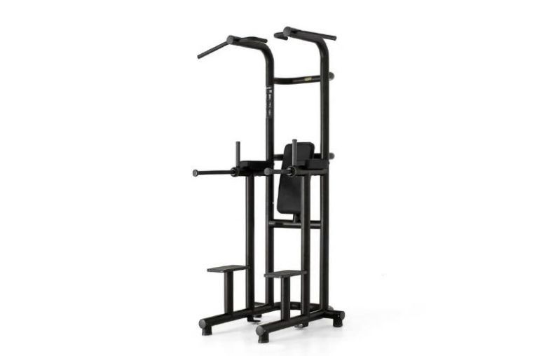 Technogym Chin Up Dip Leg Raise 