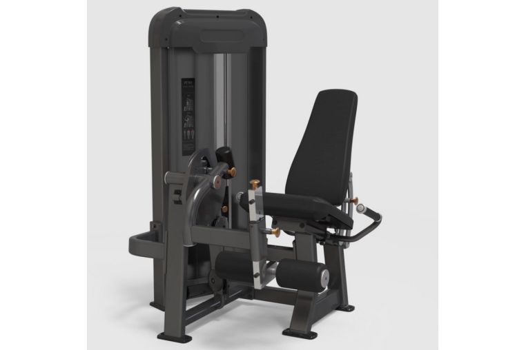 Разгибание ног AnyFit PE201-96 