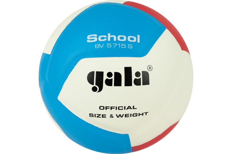 Мяч волейбольный Gala School 12 BV5715S р. 5 