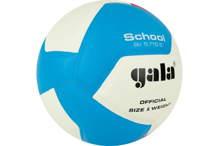 Мяч волейбольный Gala School 12 BV5715S р. 5 фото 3