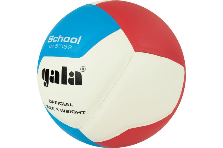 Мяч волейбольный Gala School 12 BV5715S р. 5 фото 4